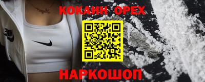 спайс Гусев