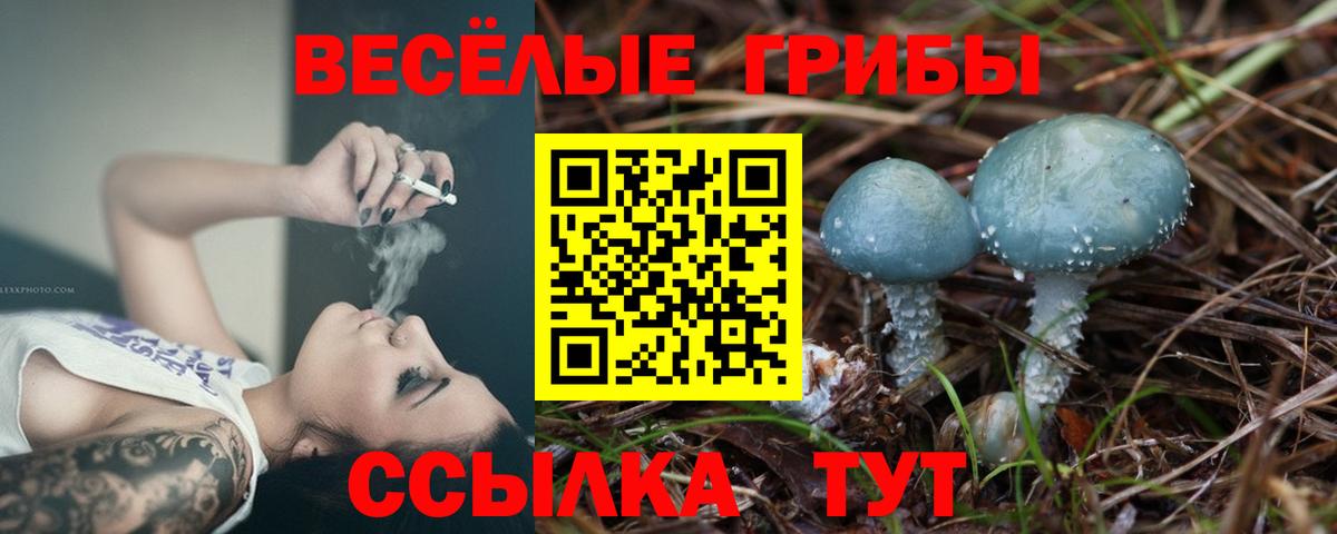 Псилоцибиновые грибы Cubensis Кизилюрт